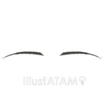 女性の眉毛（上がり眉）