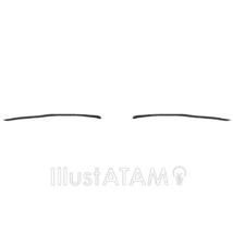 女性の眉毛（平行眉）