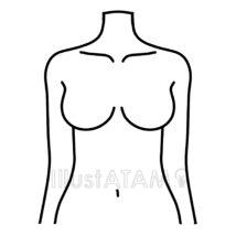 女性の胸（線画）