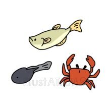 川の生き物