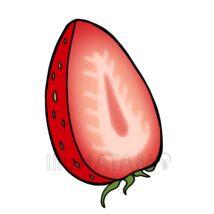 手書きのいちご（断面）