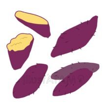 手書きのかわいいさつまいも,さつまいも,秋,野菜,食べ物のイラスト素材