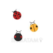 手書きのかわいいテントウムシ,カラフル,かわいいテントウムシ,テントウムシ,昆虫,春のイラスト素材