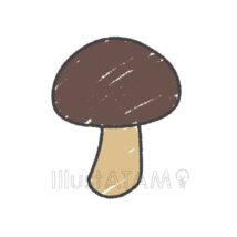 手書きのきのこ