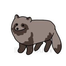 手書きのたぬき,たぬき,動物のイラスト素材