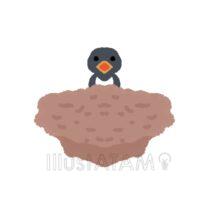 手書きのつばめのひな