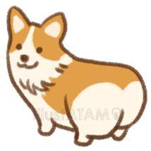 手書きのコーギー（おしり）