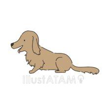 手書きのダックスフンド（茶色）