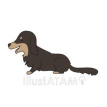 手書きのダックスフンド（黒色）