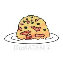 手書きのチャーハン