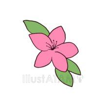 手書きのツツジ