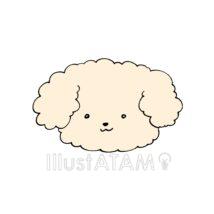 手書きのトイプードル（白色）