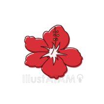 手書きのハイビスカス