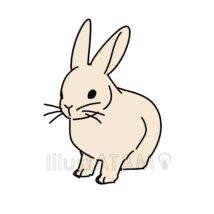 手書きのリアルなうさぎ