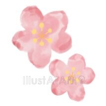 手書きの梅の花,和風,春,春の花,梅の花,水彩風,花のイラスト素材