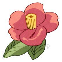 手書きの簡単な椿