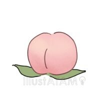 果物の桃,果物,桃のイラスト素材