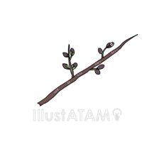 桜のつぼみ（4月）