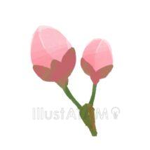 桜のつぼみ（水彩風）