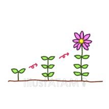 植物の成長