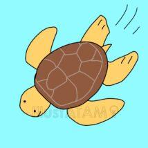 海で泳ぐかわいい亀