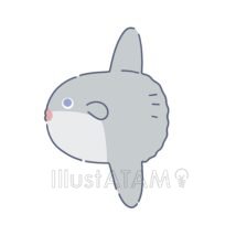 海の生き物（マンボウ）