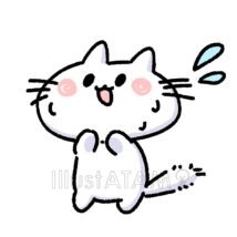焦る猫