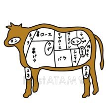 牛肉の部位