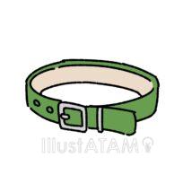 犬の首輪（緑色）