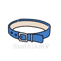 犬の首輪（青色）