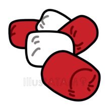 玉入れの玉