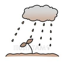 環境問題（酸性雨）