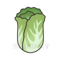 白菜