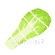 白菜の切り方