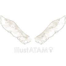 白鳥の羽