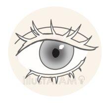 目（白まつ毛）