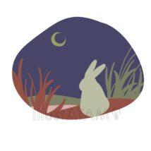 秋の涼しい背景