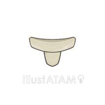 稽古まわし（関取）