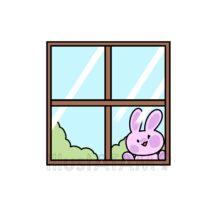 窓に張り付くうさぎ