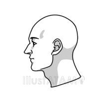 立体感のある横顔