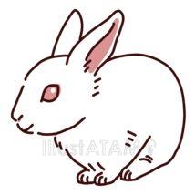 簡単なかわいいリアルなうさぎ（白色）