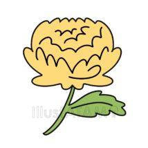 簡単なかわいい菊