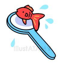 簡単なかわいい金魚すくい