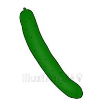簡単なきゅうり,きゅうり,簡単,野菜のイラスト素材