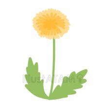 簡単なたんぽぽ