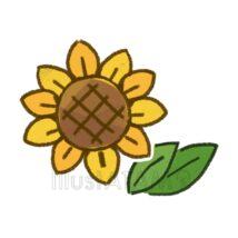 簡単なひまわり