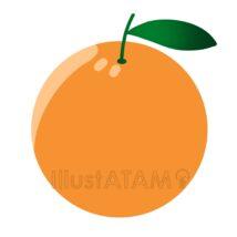 簡単なオレンジ