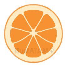 簡単なオレンジ（断面）