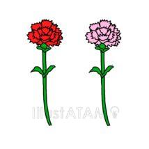 簡単なカーネーション