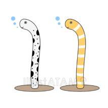 簡単なチンアナゴ